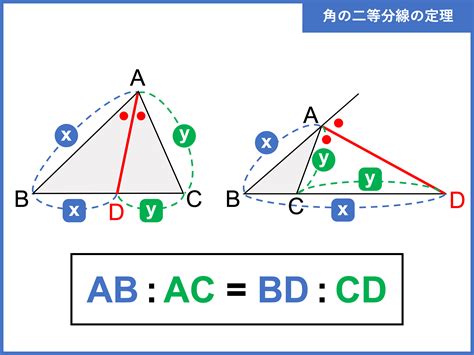 二等分